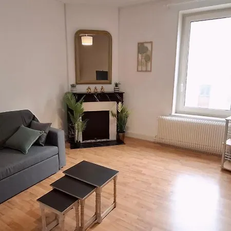 Des Cousines Anais 4 Personnes דירה נאנסי