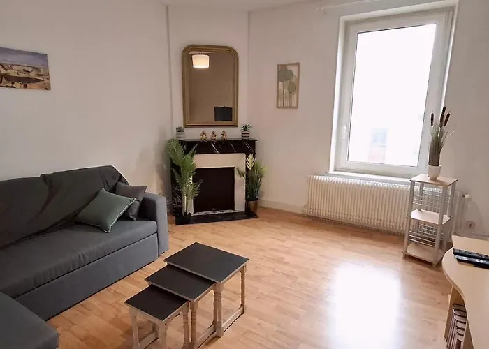 Des Cousines Anais 4 Personnes דירה נאנסי